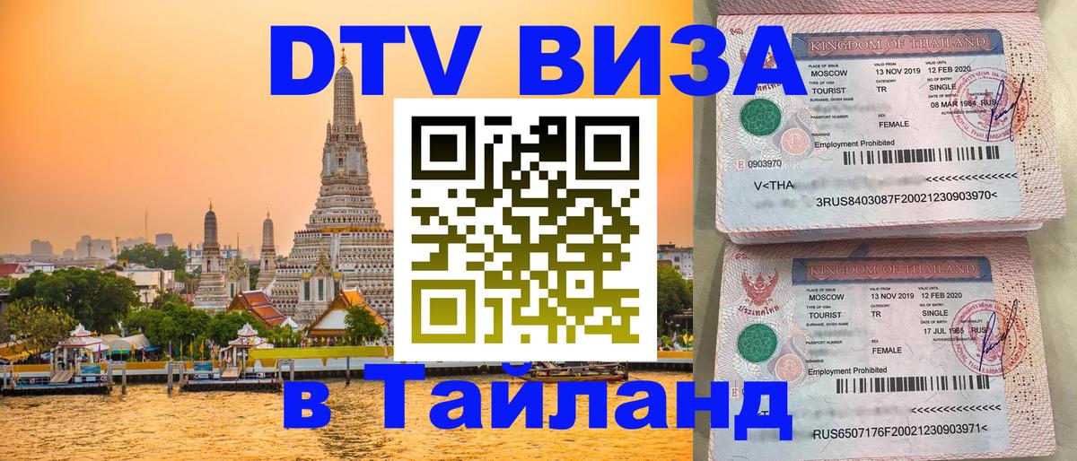 Оформление DTV визы под ключ: стоимость и тарифы, только загранпаспорт - Петрозаводск 
